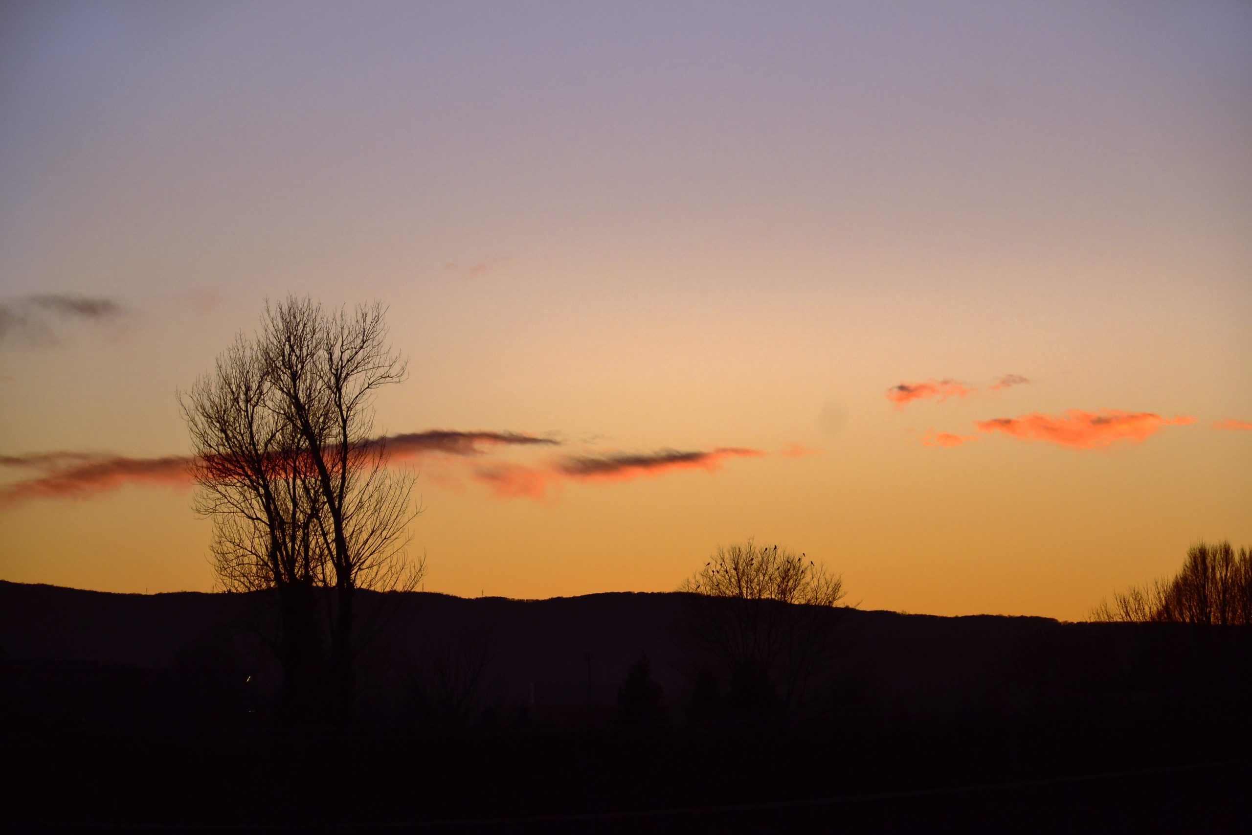 Scopri di più sull'articolo La MiA CaMpAgNa