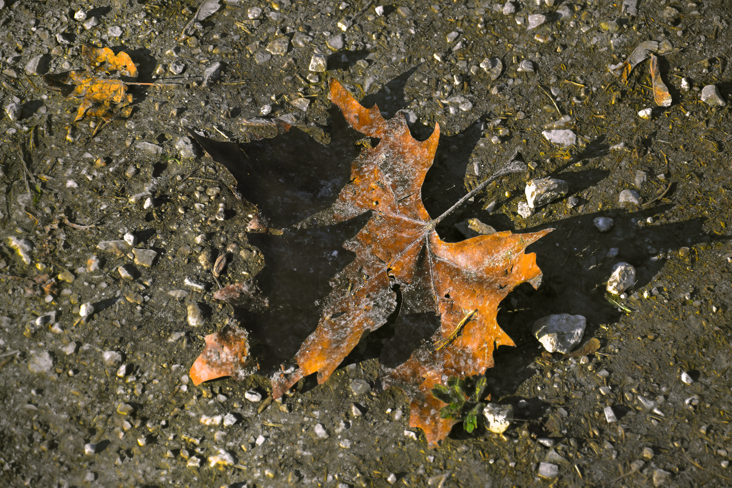 Scopri di più sull'articolo DoPo l’AcQua sPaNTa